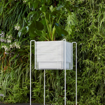 ZEN-High-plant-pot-Hobby-Flower-291294-relb8787507.jpg